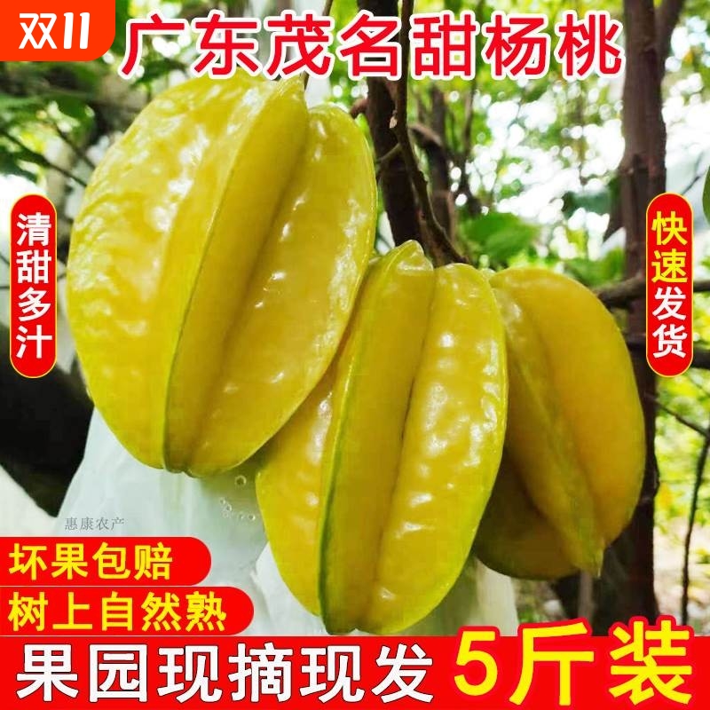 广东茂名甜杨桃新鲜应季水果五角星阳桃农家现摘现发整箱5斤