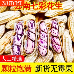 正宗云南七彩花生农家晒干可带壳零食年货批发新鲜原味新货特色