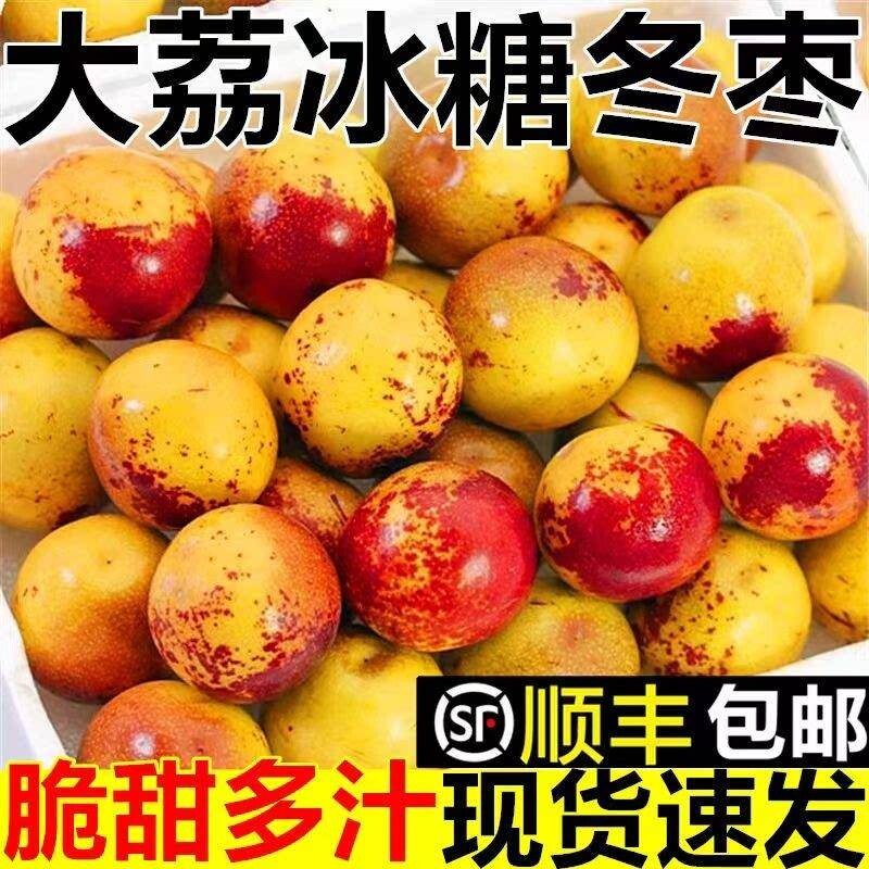陕西冬枣大荔新鲜应当季水果大枣脆甜青枣整箱5斤枣子顺丰包邮3斤