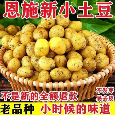 恩施土豆小土豆湖北批发迷你黄心新鲜高山蔬菜洋芋现挖马铃薯整箱
