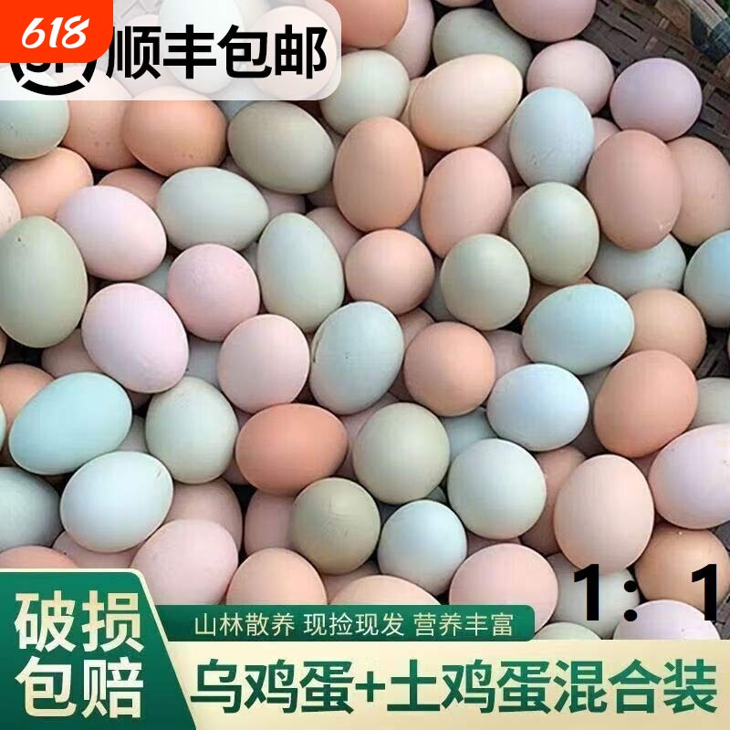顺丰包邮正宗农家散养土鸡蛋绿壳乌鸡蛋混合装笨鸡蛋柴鸡蛋50枚