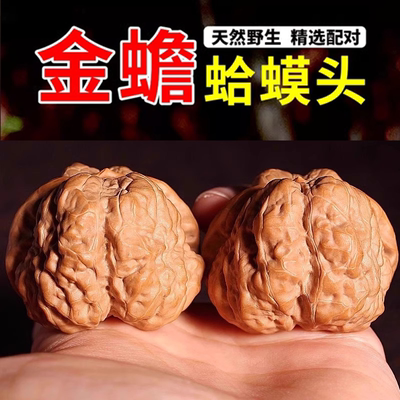 文玩核桃开背蛤蟆头开背蛤蟆头