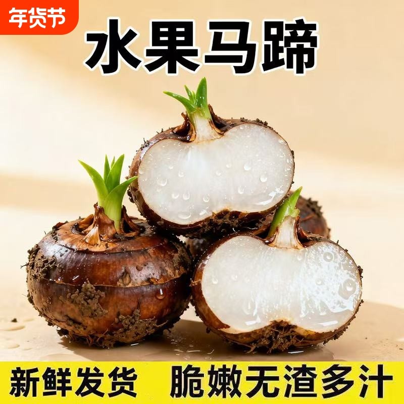湖北正宗地栗新鲜马蹄带泥大个现挖马蹄荸荠脆甜当季水果蔬菜马蹄,水产肉类/新鲜蔬果/熟食,荸荠/马蹄,淘宝优惠券,粉丝福利购,淘宝优惠卷