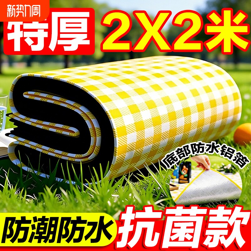 野餐垫户外防潮垫防水加厚便携徒步沙滩垫便携露营野炊草坪地垫子