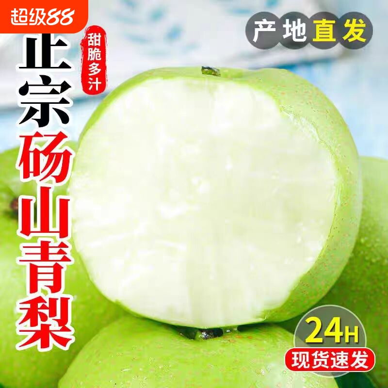 安徽砀山梨青梨酥梨子水果新鲜应当季整箱包邮正宗皇雪翠冠梨