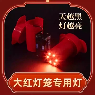 免插电led遥控灯笼灯泡专用灯防水电池款感应灯放在里面的灯感光