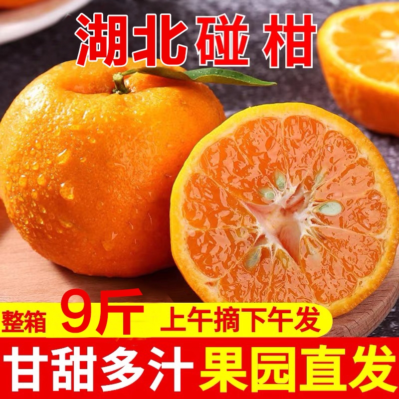 椪柑芦柑丑橘新鲜9斤当季时令水果整箱丑柑蜜橘桔子湖北非耙碰柑