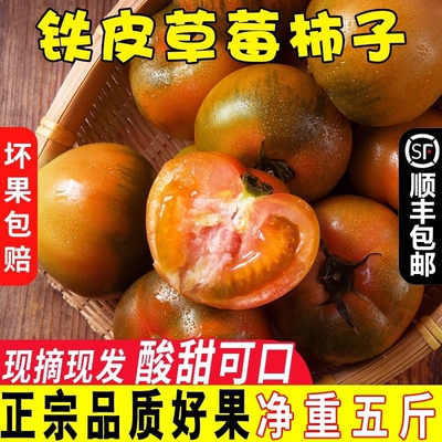 丹东应季新鲜自然熟铁皮草莓柿子