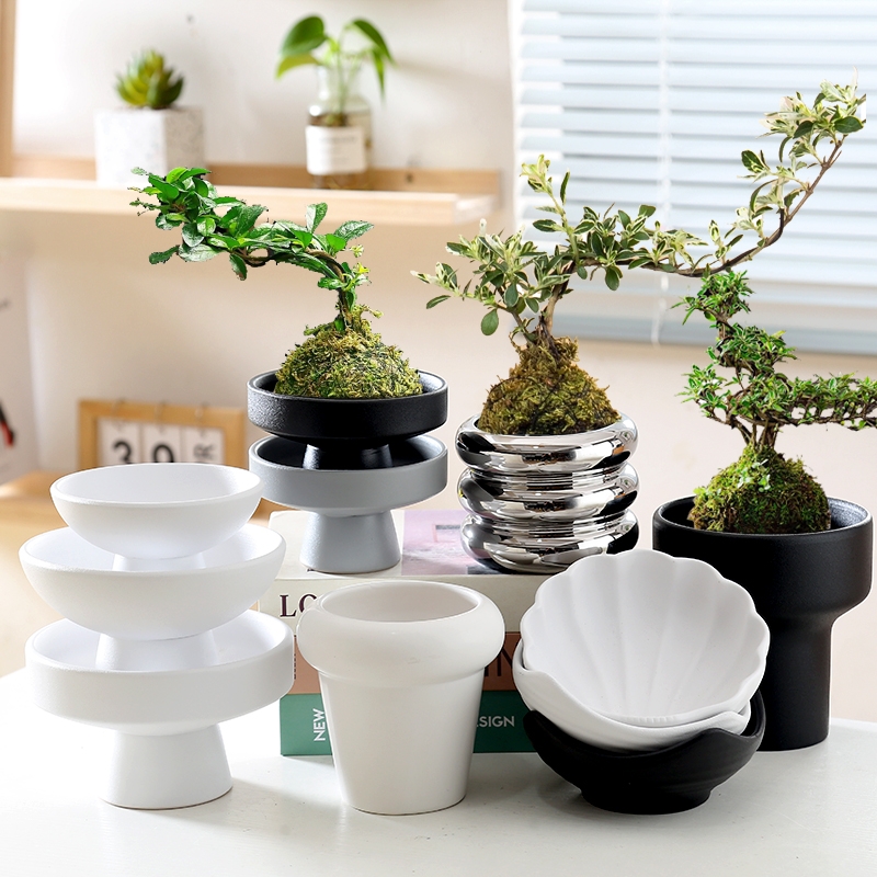 苔藓菖蒲绿植盆水培香石斛日式陶瓷花盆干果盘高脚茶点碗无孔客厅