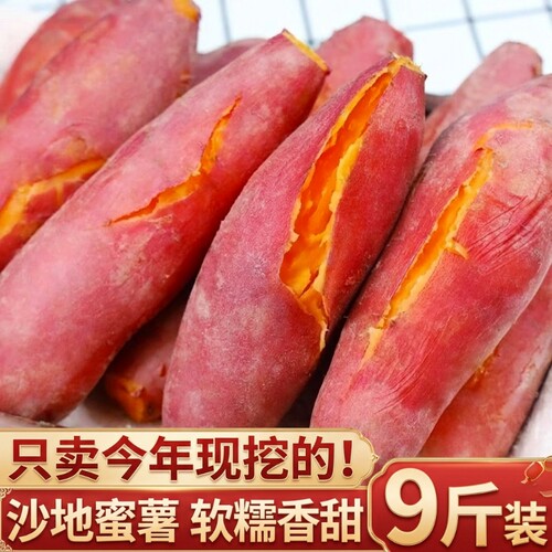 26年新鲜沙地蜜薯红薯番薯黄心糖心地瓜山芋非西瓜红板栗薯香甜