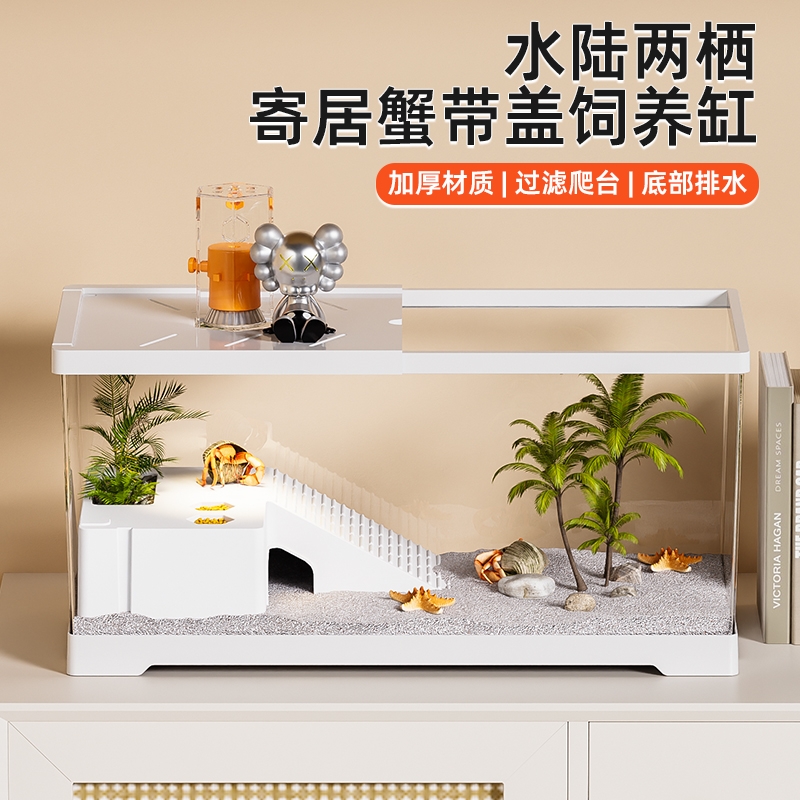 生态亚克力寄居蟹饲养箱爬台家用客厅造景全套相手蟹螃蟹缸桌面