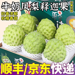 礼盒装释迦果新鲜现摘番荔枝5斤大目凤梨牛奶林檎应季水果摩尼甜