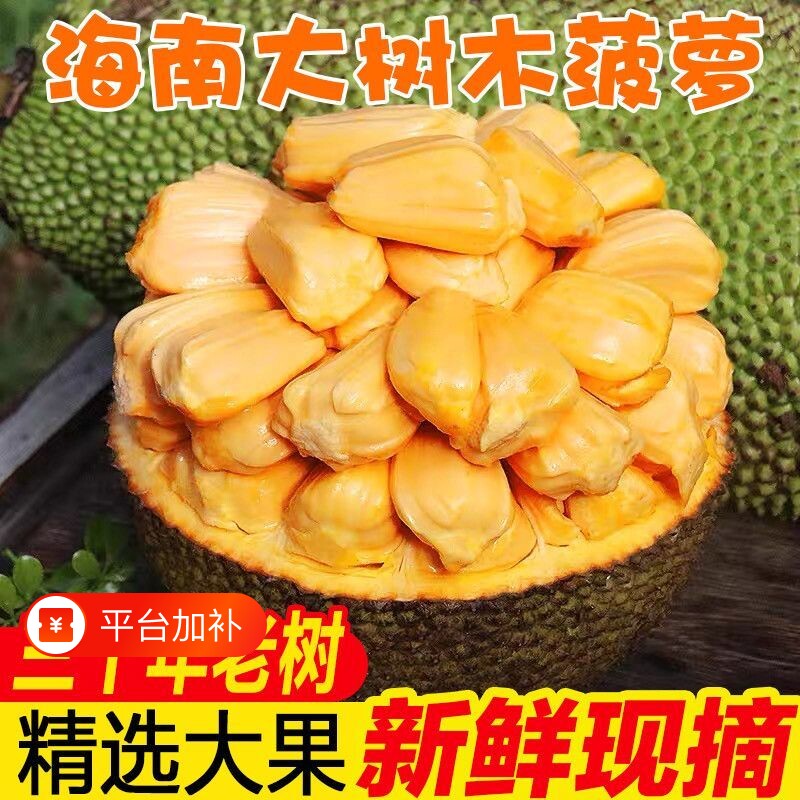 海南菠萝蜜新鲜水果包邮黄肉波罗菠萝蜜一整个水果新鲜整箱当季红