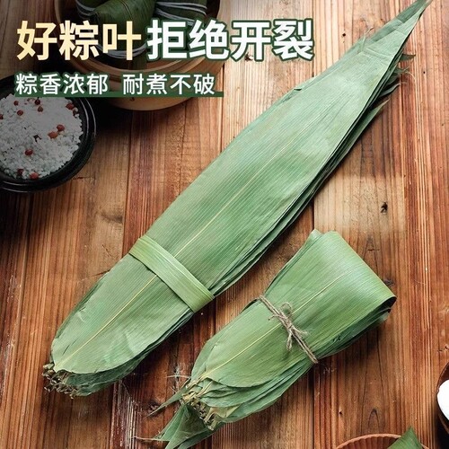 粽子叶粽叶干大号棕叶新鲜包粽子的竹叶子干粽叶商用箬叶材料
