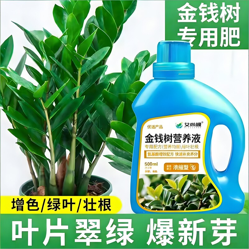 金钱树专用营养液防黄叶催绿长效营养肥液体肥家用盆栽绿植花肥料