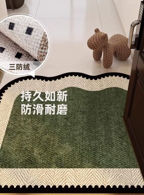 入户门垫高级感进门玄关免洗脚垫