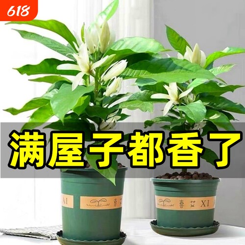 基地直销 新品特惠