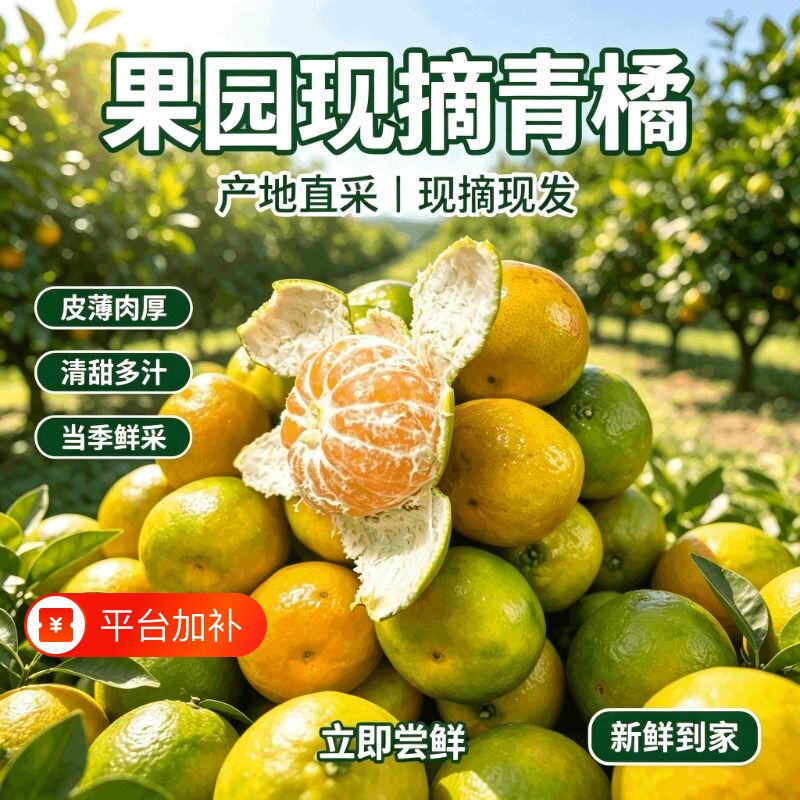橘子新鲜现摘青皮橘子酸甜薄皮蜜桔无籽桔子新鲜水果