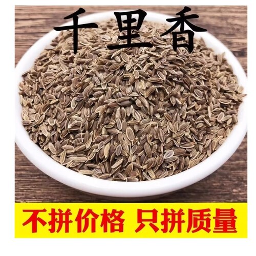 千里香调料 500g九里香百里香莳萝籽火锅卤菜香料 天然增香调味料