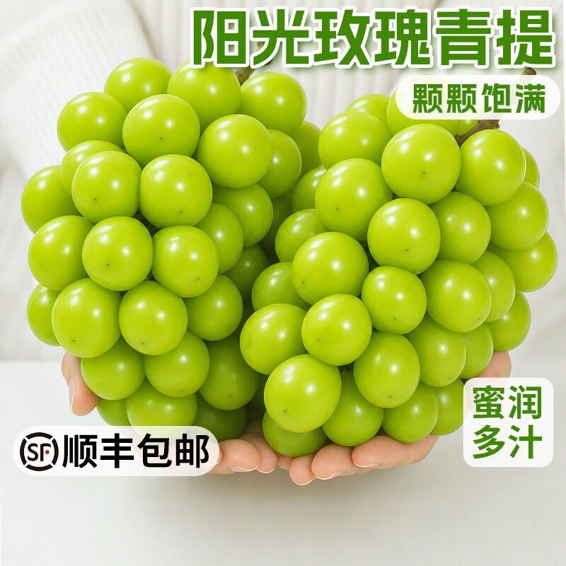 正宗阳光玫瑰  葡萄脆甜青提无籽葡萄新鲜冷链保鲜当季顺丰包邮