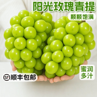 【顺丰发货】正宗阳光玫瑰净重4.5斤