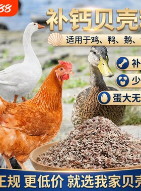高钙贝壳粉饲料鸡鸭鹅鸟鸽子鹌鹑促钙吸收预混料添加剂养殖家禽