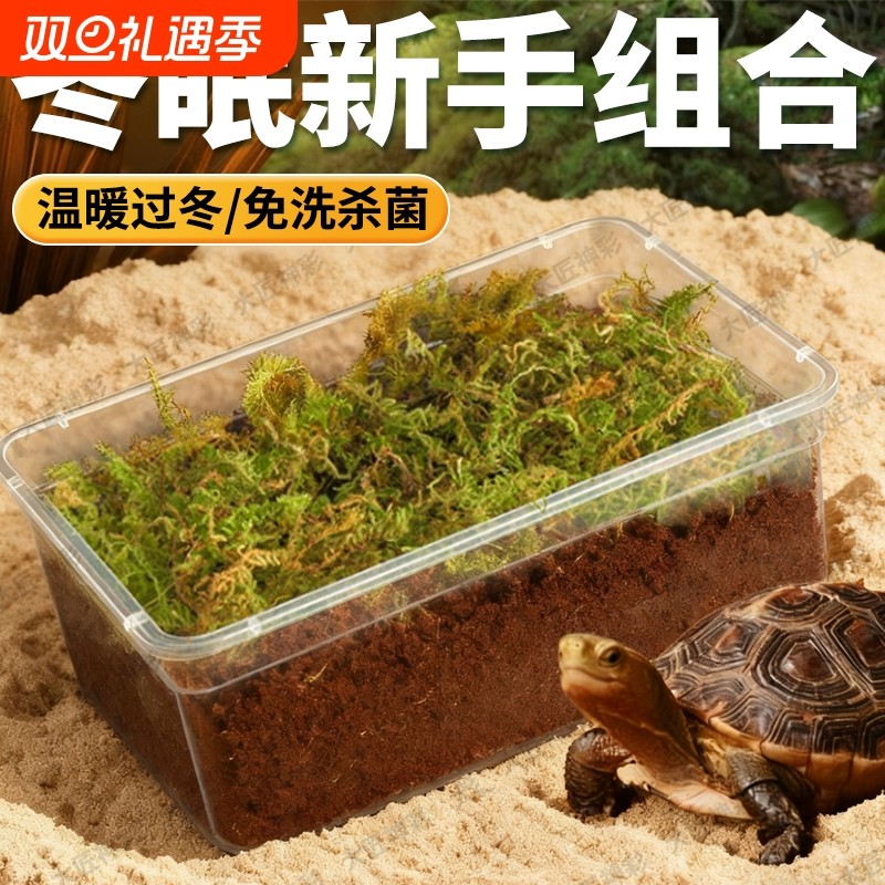 乌龟专用沙陆龟孵化产蛋冬眠棉花沙爬宠砂甲鱼螃蟹细河沙过冬沙池