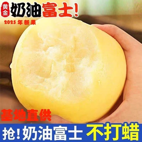 烟台奶油富士花皮丑苹果应季采摘