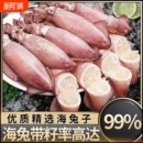 新鲜满籽海兔冷冻籽乌新鲜墨鱼仔带籽小鱿鱼乌贼带籽笔管鱼纯籽