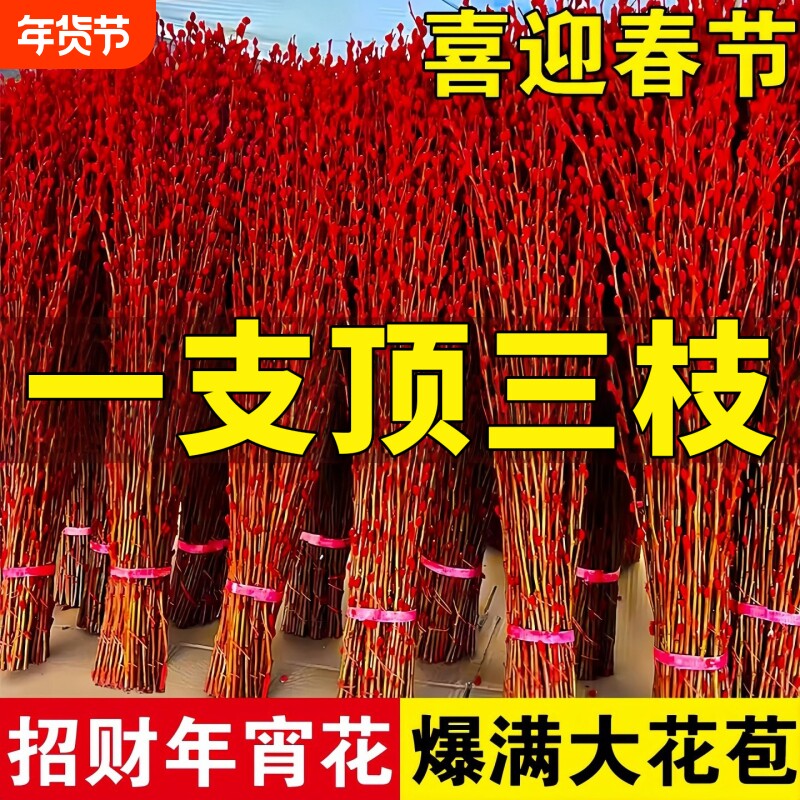 银柳鲜枝真花干花客厅摆件水培绿植物新年红福桶招财年宵花卉盆栽