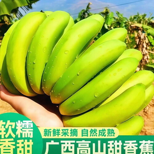 广西高山甜香蕉当季新鲜水果大芭蕉小米蕉皇帝蕉自然熟现摘整箱