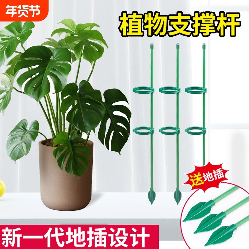 园艺支撑杆花架固定器龟背竹花支架固定花神器植物花杆爬藤防倒伏,鲜花速递/花卉仿真/绿植园艺,其它园艺用品,淘宝优惠券,粉丝福利购,淘宝优惠卷