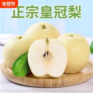 【今年新果】超甜正宗皇冠梨薄皮脆甜多汁当季新鲜水果一整箱批发