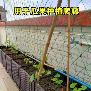 爬藤网黄瓜番茄攀爬网丝瓜豆角搭架网农用蔬菜网格攀爬网户外庭院