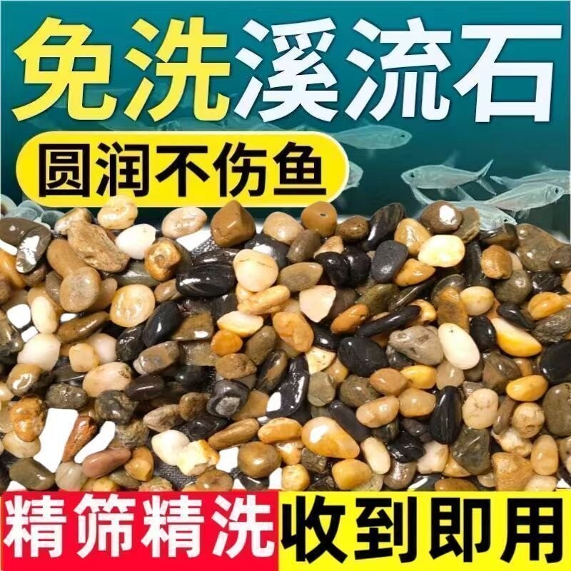 天然河沙溪流沙鹅卵石原生水族鱼缸水草缸多肉铺面小石子过滤豆石