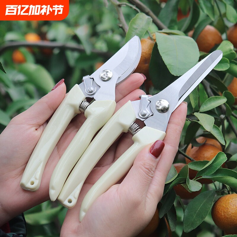 不锈钢树枝修枝剪花木剪园林果树花卉枝嫁接园艺剪刀工具修剪盆景