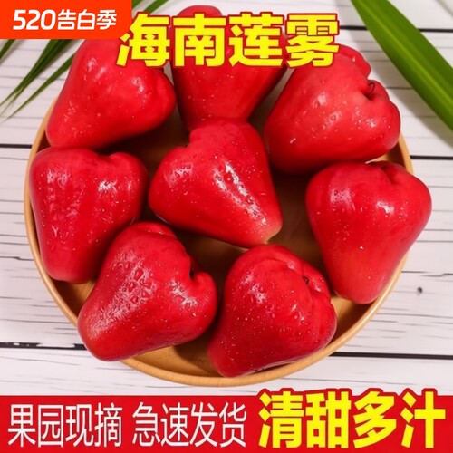 红宝石莲雾果现摘新鲜黑珍珠应季热带水果莲雾海南特产整箱包邮