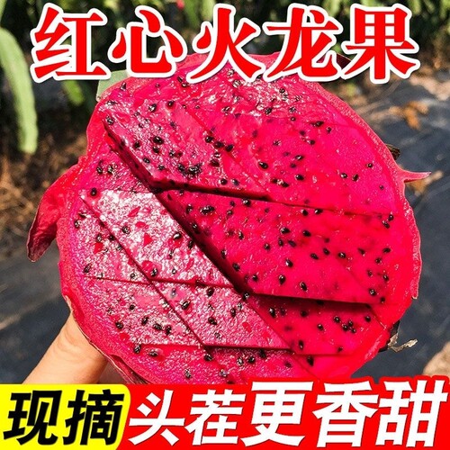 红心火龙果清新甜应季新鲜水果