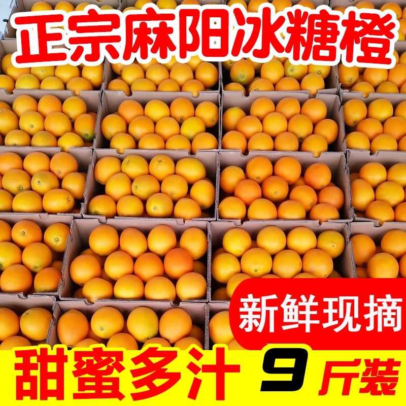 正宗麻阳冰糖橙湖南橙子应当季水果新鲜现摘果冻橙冰糖橙包邮