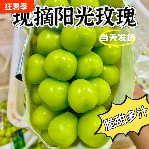 阳光玫瑰葡萄晴王新鲜水果无籽香印青提5斤特大果当季整箱鲜果