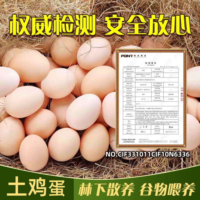 农家散养土鸡蛋40枚湖北大别山生态老人儿童早餐谷物鲜鸡蛋直发,水产肉类/新鲜蔬果/熟食,鸡蛋,淘宝优惠券,粉丝福利购,淘宝优惠卷
