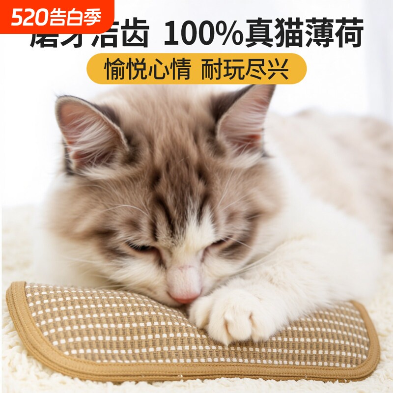 猫玩具猫薄荷抱枕小猫逗猫自嗨解闷神器枕头消耗体力磨牙猫咪专用