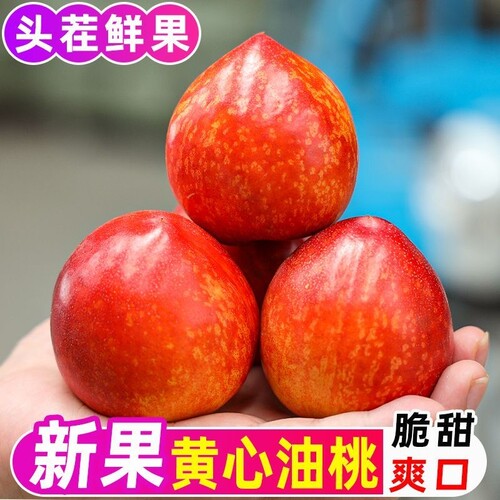 【2026新果】头茬黄心油桃新鲜应季水果麻脸黄肉桃子脆甜整箱包邮