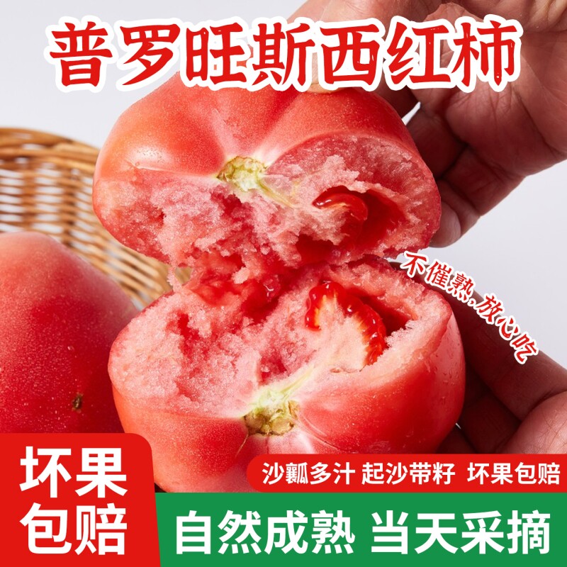 普罗旺斯西红柿正宗沙瓤当季新鲜酸甜多汁水果蔬菜生吃番茄自然熟