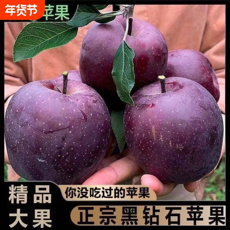 圣诞甘肃黑卡苹果正宗当季新鲜水果整箱包邮冰糖心脆面黑钻脆甜,水产肉类/新鲜蔬果/熟食,苹果,淘宝优惠券,粉丝福利购,淘宝优惠卷