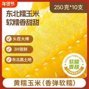 正宗东北新鲜黄糯玉米苞米软糯拉丝独立真空包装寒地黑土一年一季