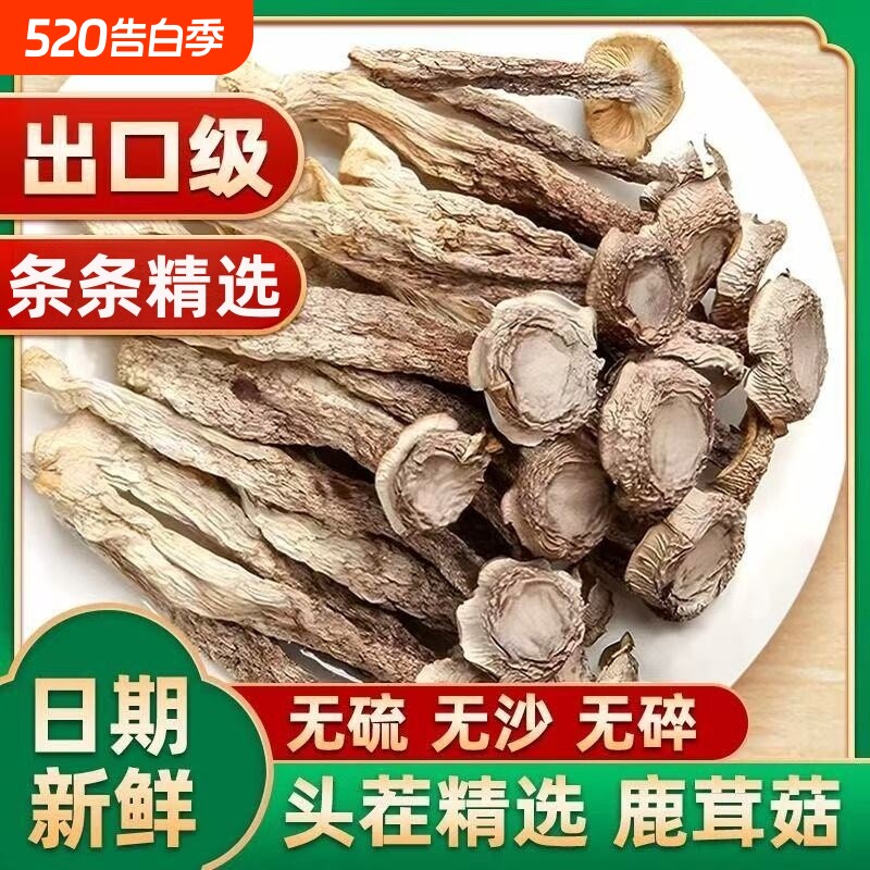 鹿茸菇干货古田特产非野生鹿茸菌菌菇包香菇煲汤食材菌类食用精选