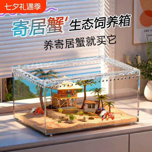 爬宠饲养盒角蛙饲养箱水陆两用带盖透明守宫睫角甲虫独角仙乌龟缸