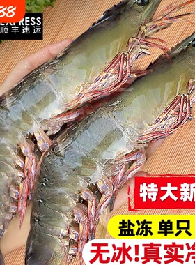 【鲜活速冻青岛大虾】年货推荐