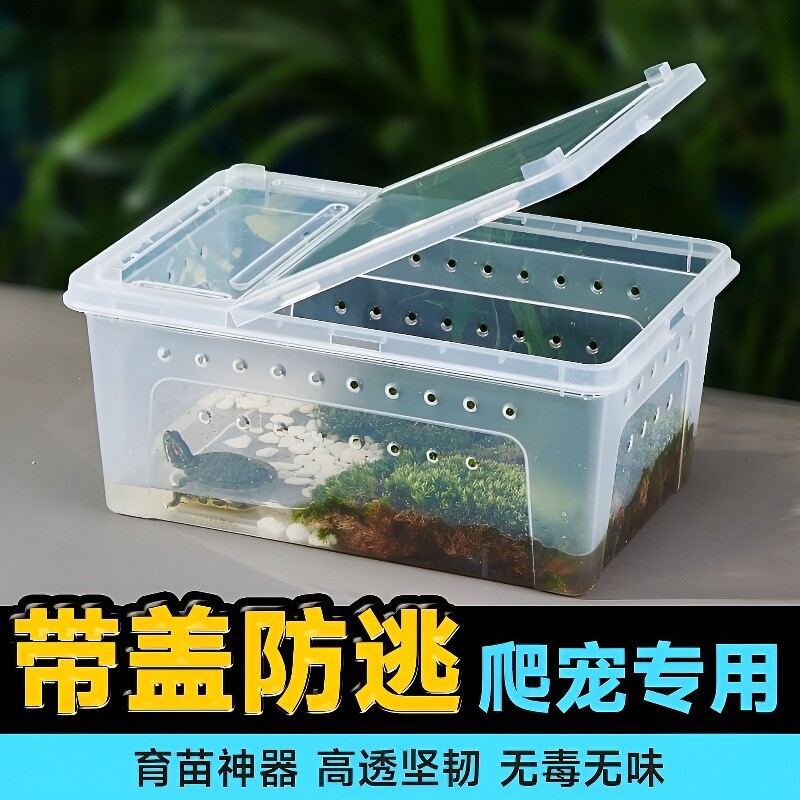 饲养盒蜘蛛角蛙蜗牛仓鼠守宫爬宠箱乌龟缸寄居蟹生态缸饲养缸带盖